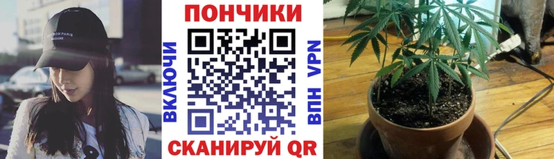 Конопля THC 21%  Котлас 